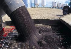 AAFC ups canola exports, but leaves ending stocks unchanged
