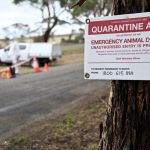 A quarantine area sign is attached to a tree at a quarantine zone after an outbreak of Bird flu in Victoria, Australia. Photo: AAP Image/Supplied by Department of Energy, Environment and Climate Action via Reuters
