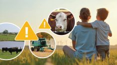 Irish advocate urges safer farms for Canadian families