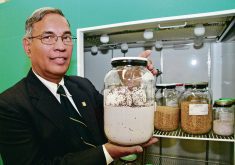 Digvir Jayas, then an agricultural engineering professor at the University of Manitoba, shows a jar loaded with red flour beetles in 2018.