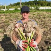 Growing garlic by the thousands in Manitoba