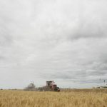 Value of Canadian farmland ‘robust’ but cracks are appearing