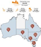 Australia forecasts wheat output down 10 per cent on dry conditions