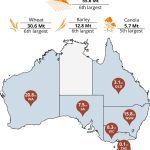 Australia forecasts wheat output down 10 per cent on dry conditions