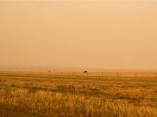 Wildfire smoke outside Calgary, August 2023. Photo: Sneha Annie Sebastian/iStock/Getty Images
