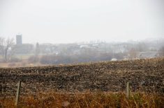 Urban developments jut up against agricultural land along the border of Brandon in western Manitoba. Photo: FileAgricultural experts warn Canada’s farmland crisis is worsening as development pressure and unsustainable rental costs threaten the sector’s future. 