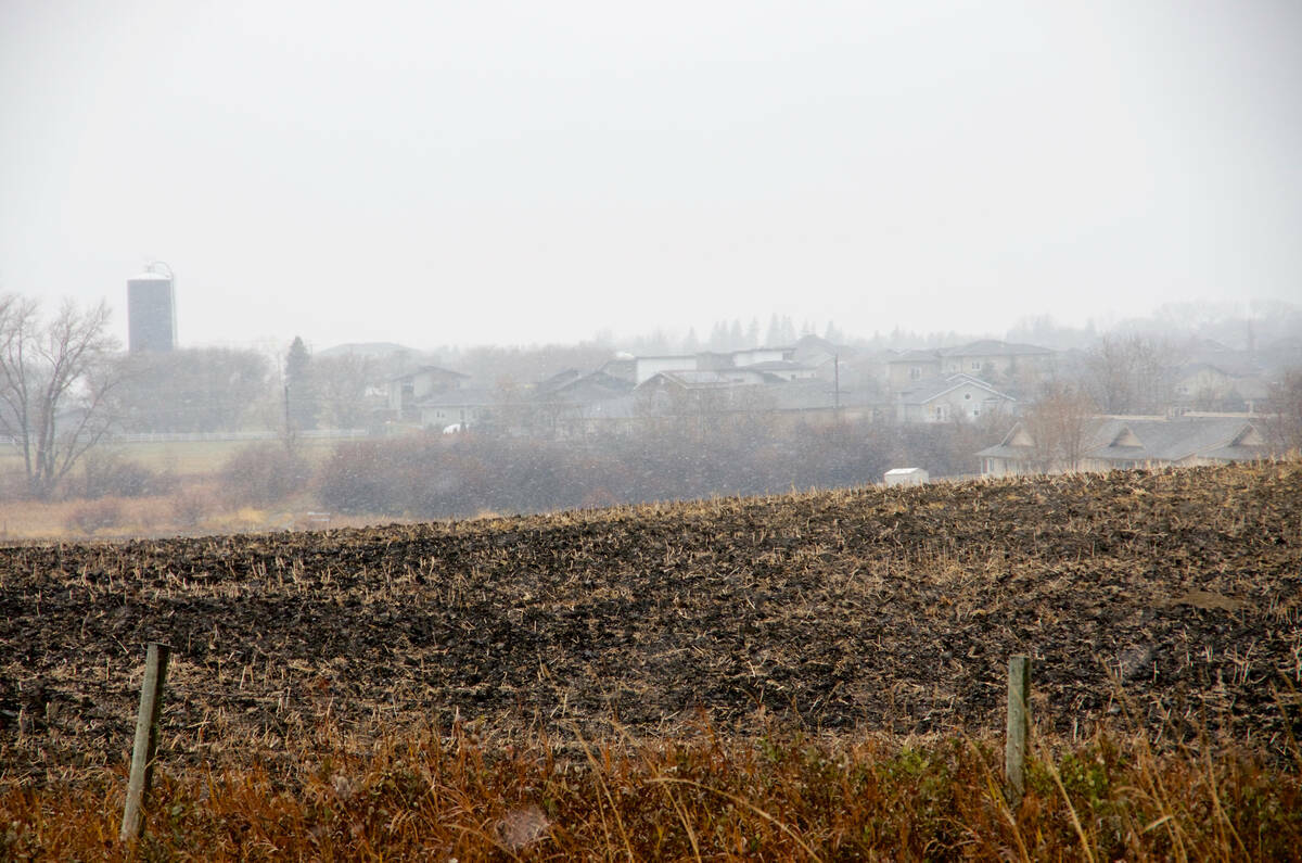 Urban developments jut up against agricultural land along the border of Brandon in western Manitoba. Photo: FileAgricultural experts warn Canada’s farmland crisis is worsening as development pressure and unsustainable rental costs threaten the sector’s future. 