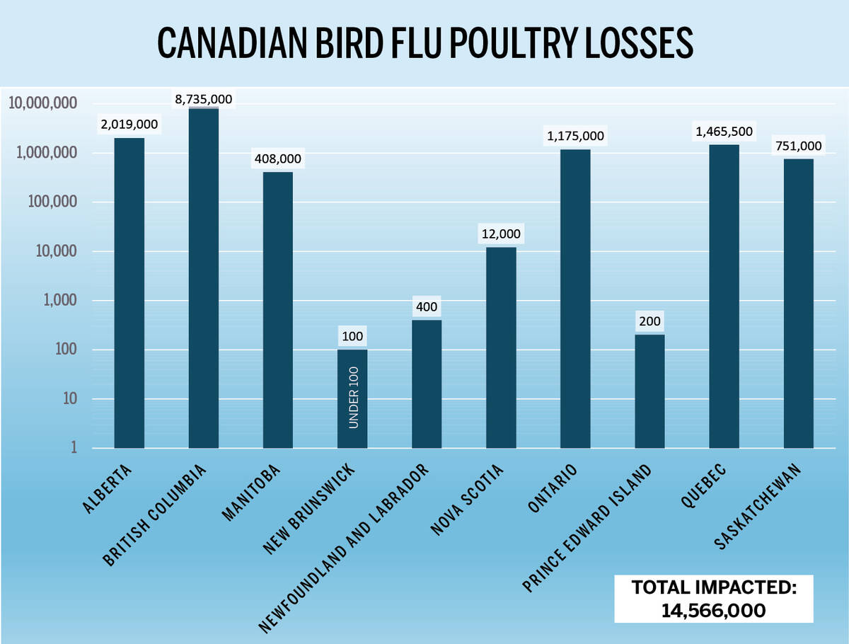 British Columbia has had the most poultry loss from bird flu since late 2021.