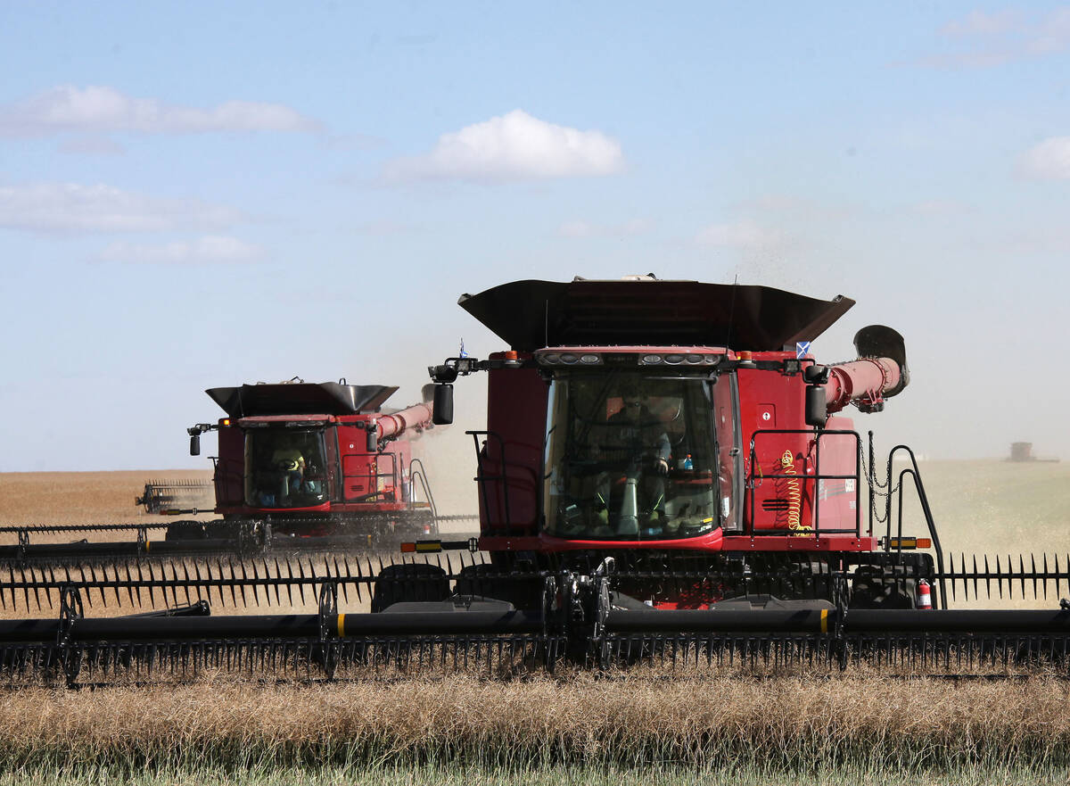 Canola harvest near Wilcox, Sask. Canadian farmers produce a lot of food — food that’s going for a premium at the grocery store. One farm advocate group says the producers growing the food are not benefiting from those prices. Photo: Mike Raine