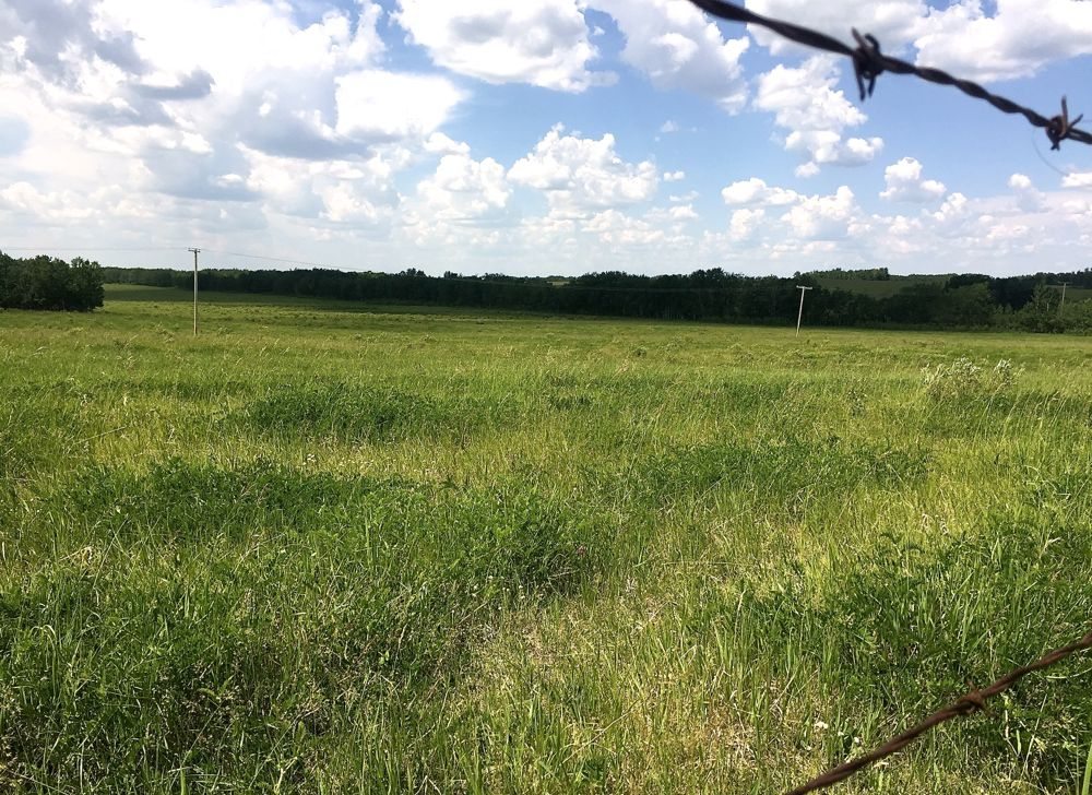 Photo: Lisa Guenther
