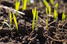 Photo: ligora/iStock/Getty Images
