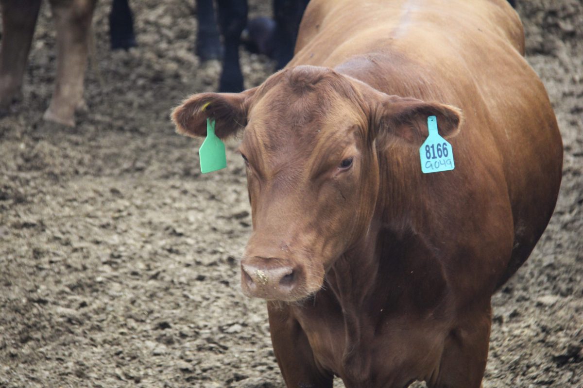 Photo: Geralyn Wichers
