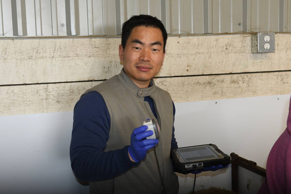 Yaogeng Lei, research scientist with the Technology Access Centre for Livestock Production, is developing technology powered by artificial intelligence that can detect parasites and check for pregnancy in sheep. Photo: Technology Access Centre for Livestock Production/Olds College