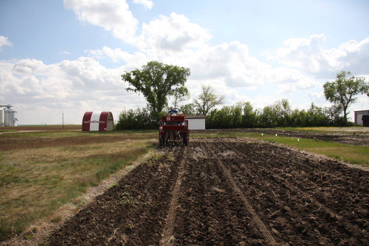 Ag-Quest seeded crop plots at Ag in Motion on May 23, 2025.  Photo: Janelle Rudolph