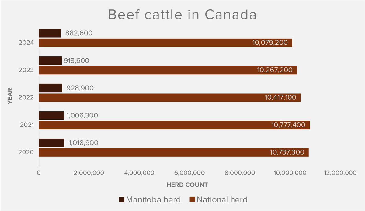 Note: Cattle numbers are as of July 1 in a given year. Source: Statistics Canada