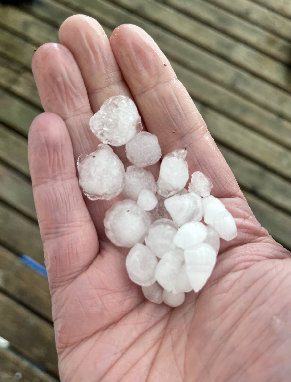 Hail is most commonly found in Alberta, but the potentially damaging form of precipitation can fall during thunderstorms all across the Prairies in the summer. Photo: File