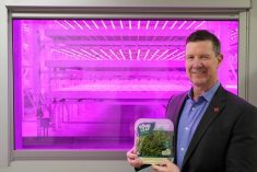 Andy O’Brien, CEO of GoodLeaf Farms, at the company’s Guelph, Ont. facility. He said the company is on track to be the world’s first profitable vertical farming operation.