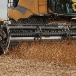 An FD2 FlexDraper header at work in a soybean crop in Saskatchewan. (Macdon.com)
