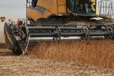 An FD2 FlexDraper header at work in a soybean crop in Saskatchewan. (Macdon.com)