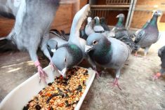 Photo: Serficus/Getty Images Plus