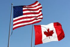 https://www.gettyimages.ca/detail/photo/flags-royalty-free-image/173870672?phrase=Canadian%20U.S.%20flags&adppopup=true
An American and Canadian flag waving in the wind. Photo: KKIDD/IStock/Getty Images