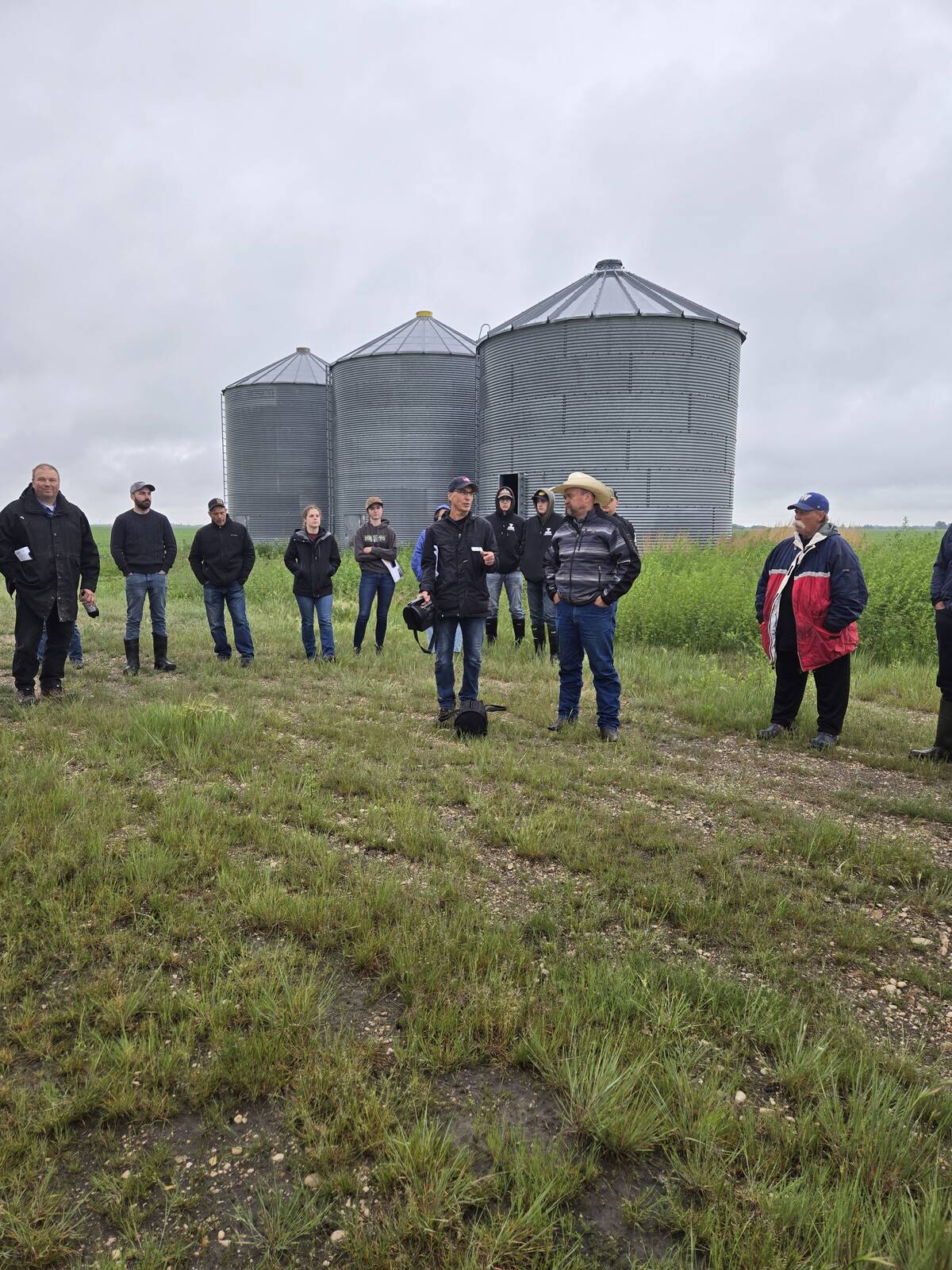 Polycrops were highlighted on the Breault farm during a stop on a Manitoba Agriculture pasture tour to Ste. Rose du Lac, June 23. Photo: Miranda Leybourne