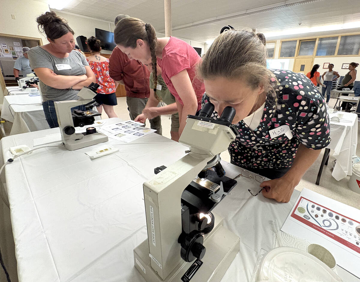Katy Touchette, far right, peers at her fecal sample for parasites while Lindsey Wensink, left, and Jessi Drinkwalter, centre, listen to Anita O'Brien (hidden) explain what each parasite looks like under the microscope during the Ontario Sheep Farmer's fecal egg count workshop in Lindsay, June 18, 2025. Photo by Diana Martin