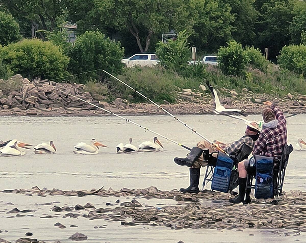 A person fishing from shore while seated, relaxing, in a chair.