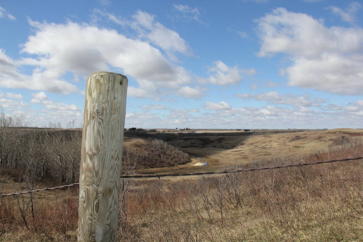 Treated fence posts would be allowed on the perimeter of grazed areas under new organic standards. Photo: Lisa Guenther