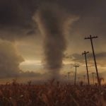 3D Rendering of a tornado into withered corn field next to utility poles
Photo: BrilliantEye/IStock/Getty Images