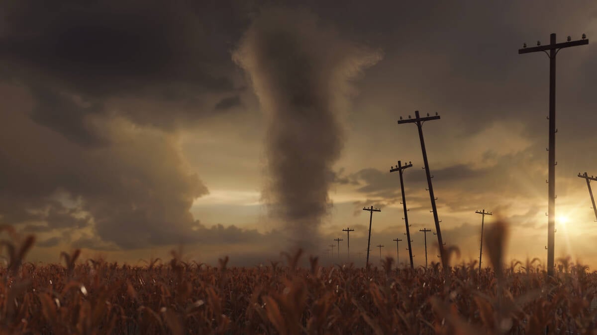 3D Rendering of a tornado into withered corn field next to utility poles
Photo: BrilliantEye/IStock/Getty Images