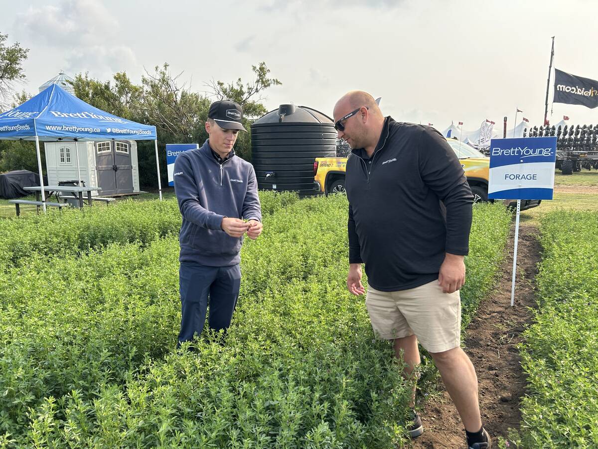Kaiden Bursaw and Kyle Slobodian of BrettYoung examine the forage plots at Ag in Motion 2025 near Langham, Sask. (Photo: Piper Whelan)