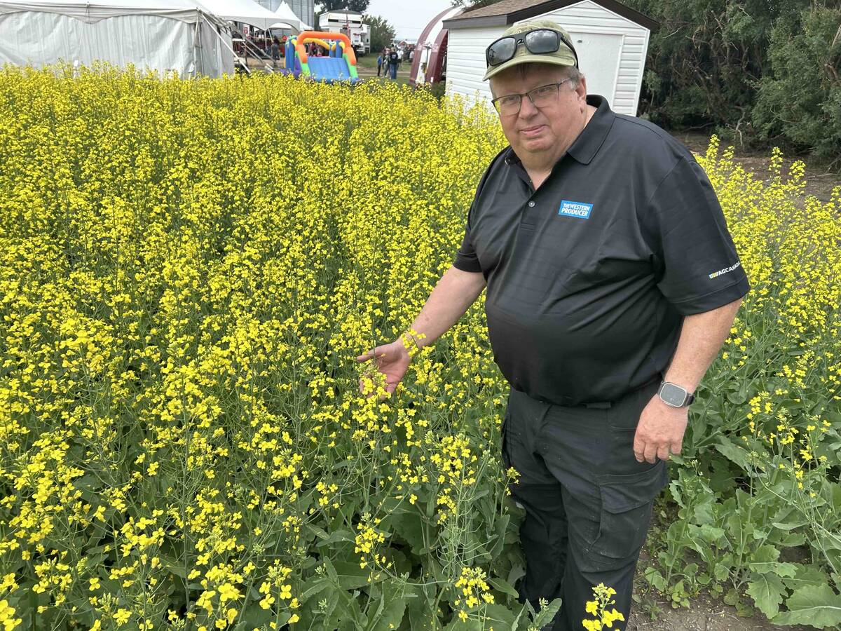 Western Producer Markets Desk analyst Bruce Burnett inspects a canola plot at Ag In Motion 2025. PHOTO: SEAN PRATT
