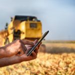 A farmer holds a cell phone with a combine harvesting crop in the background.