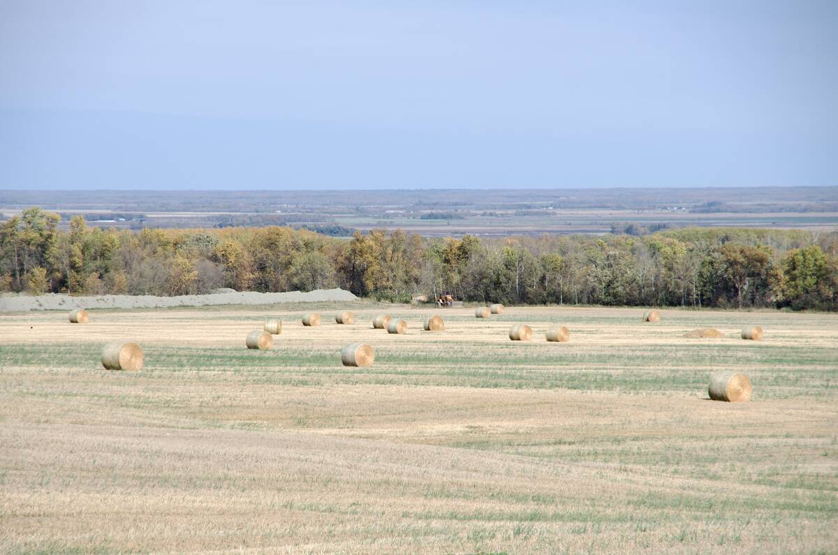 Areas around Riding Mountain National Park have historically been considered at higher risk for bovine tuberculosis. Photo: File