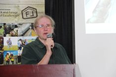 Cheryl Waldner presents research at LFCE field day 2025. Photo: Melissa Jeffers-Bezan