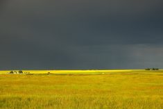 File photo of stormy conditions over Alberta fields. (Larry Stickney/iStock/Getty Images)
