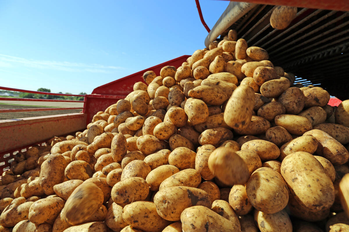 Ag Growth buys Finnish grain dryer maker