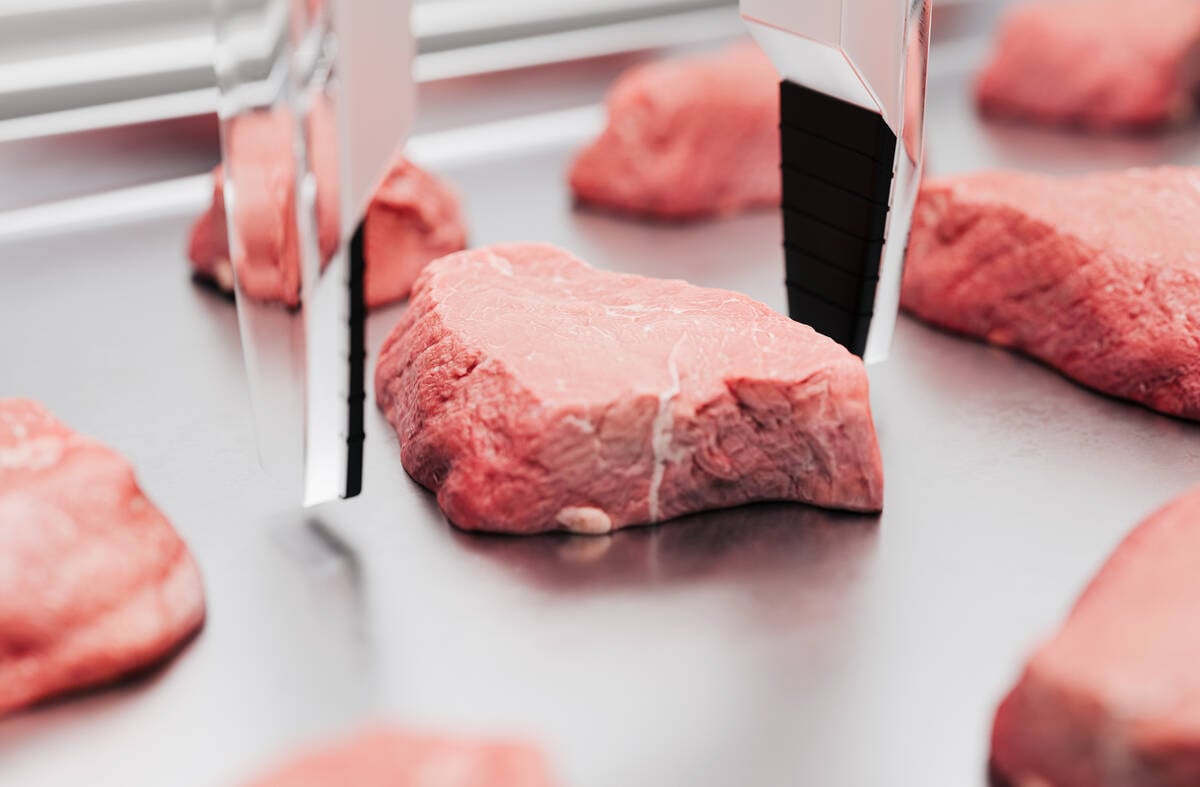 A robotic arm arranges slabs of artificial meat.