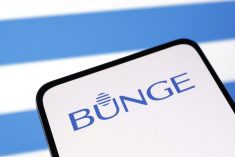 FILE PHOTO: Bunge Ltd logo is seen displayed in this illustration taken, April 10, 2023. REUTERS/Dado Ruvic/Illustration/File Photo