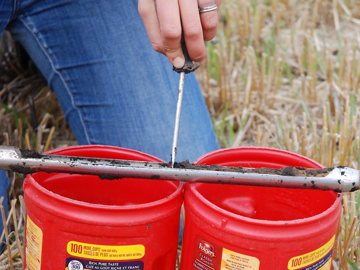 Soil samples taken after harvest are collected and analyzed for residual soil nutrients. Here, samples are separated for analysis at a depth of zero to six inches, and six to 12 inches.