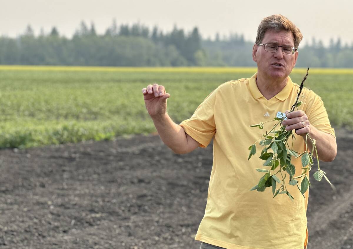 Manitoba Pulse and Soybean Growers production agronomist Terry Buss says it’s important to turn the plants upside down when scouting for soybean aphids.
Photo: Don Norman