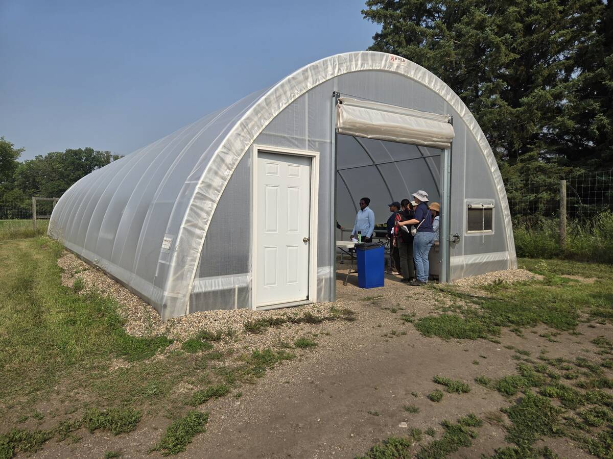A high tunnel at Assiniboine College's North Hill Campus in Brandon is used to research extended fruit and vegetable growing seasons in Manitoba
Photo: Miranda Leybourne