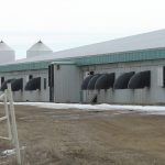 A hog barn in Manitoba. Photo: File