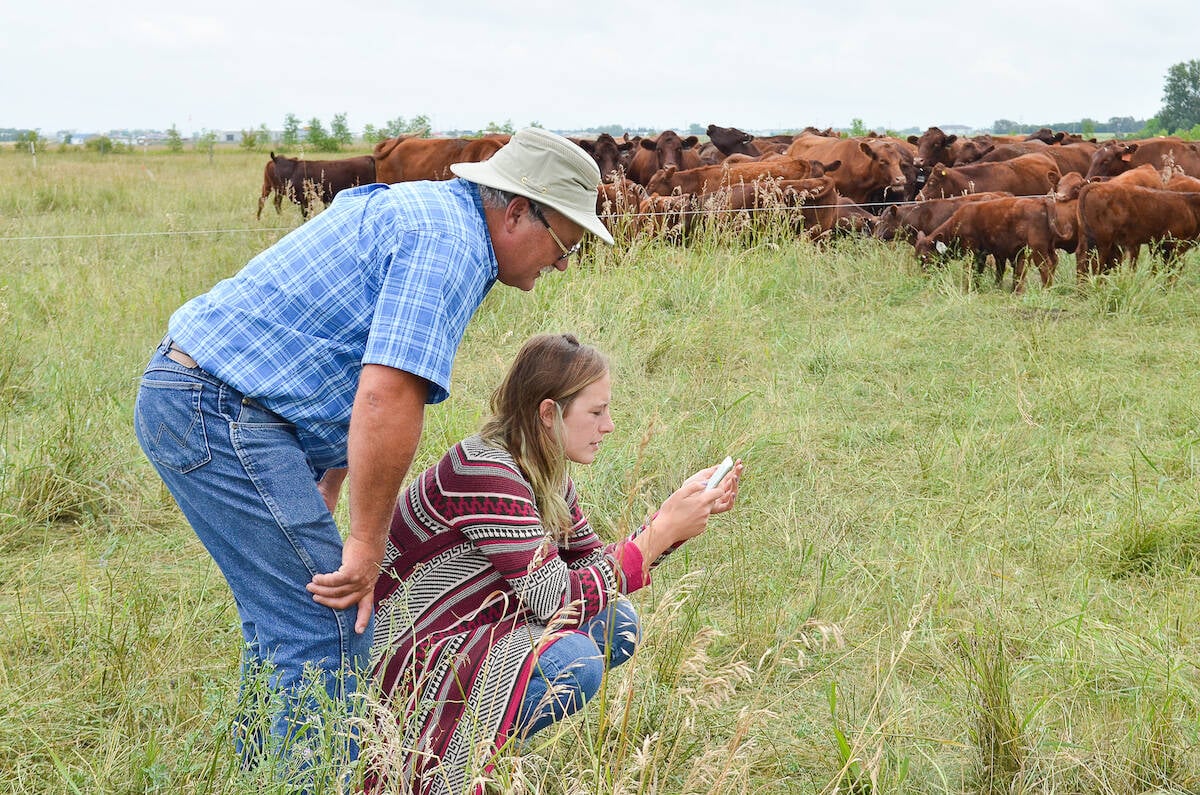 A tour of a regeneratively farmed grazing system near Brandon in 2017. Photo: File