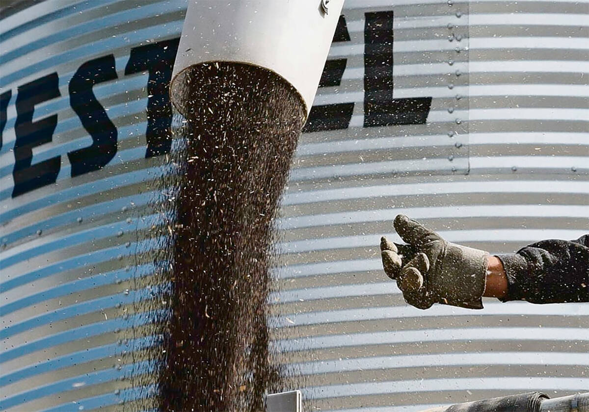 Farmers are urged to prioritize safety when moving grain in and out of bins. Photo: File