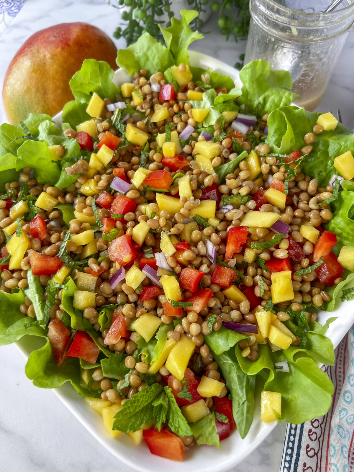 Lentil mango salad photo for recipe. Photo: Getty Stewart/Summer Salad Book