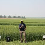 Patrick Mooleki, Agriculture and Agri-Food Canada research scientist, speaks about nitrogen research in front of barley plots in Melfort, Sask. Photo: Janelle Rudolph