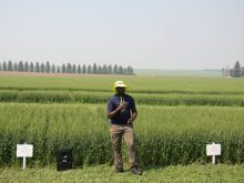 Patrick Mooleki, Agriculture and Agri-Food Canada research scientist, speaks about nitrogen research in front of barley plots in Melfort, Sask. Photo: Janelle Rudolph