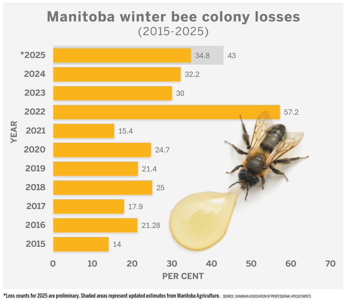 Manitoba beekeepers have suffered significant winter colony losses since 2022. Data source: Canadian Association of Professional Apiculturists/Manitoba Agriculture. Photo: AlasdairJames/istock/getty images